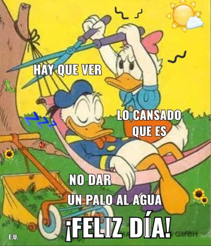 no dar palo al algua.jpg